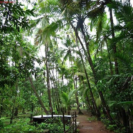 Saaj Resort Dāpoli 外观 照片